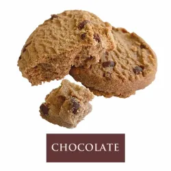 Galleta de Chocolate en bolsitas individuales caja 500g