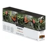 Montecelio Stracto Intenso Oferta 80 cápsulas sistema Caffitaly