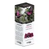 Montecelio Stracto Delicato 10 cápsulas sistema Caffitaly
