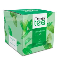 Moment Tea Menta Poleo 15 Piramides